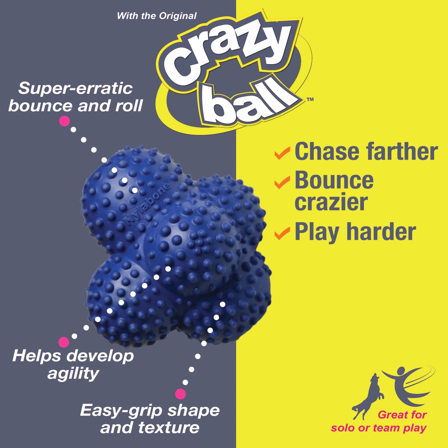 Power Play Interactive Large Dog Ball Toy