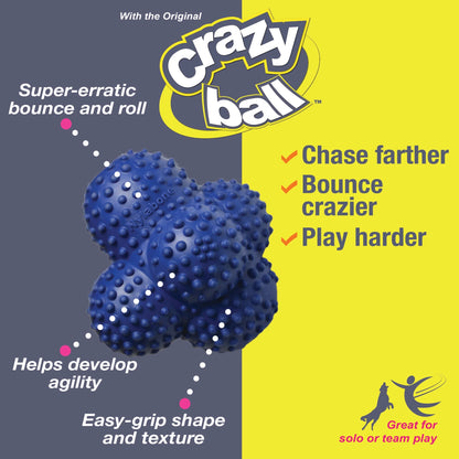 Power Play Interactive Large Dog Ball Toy