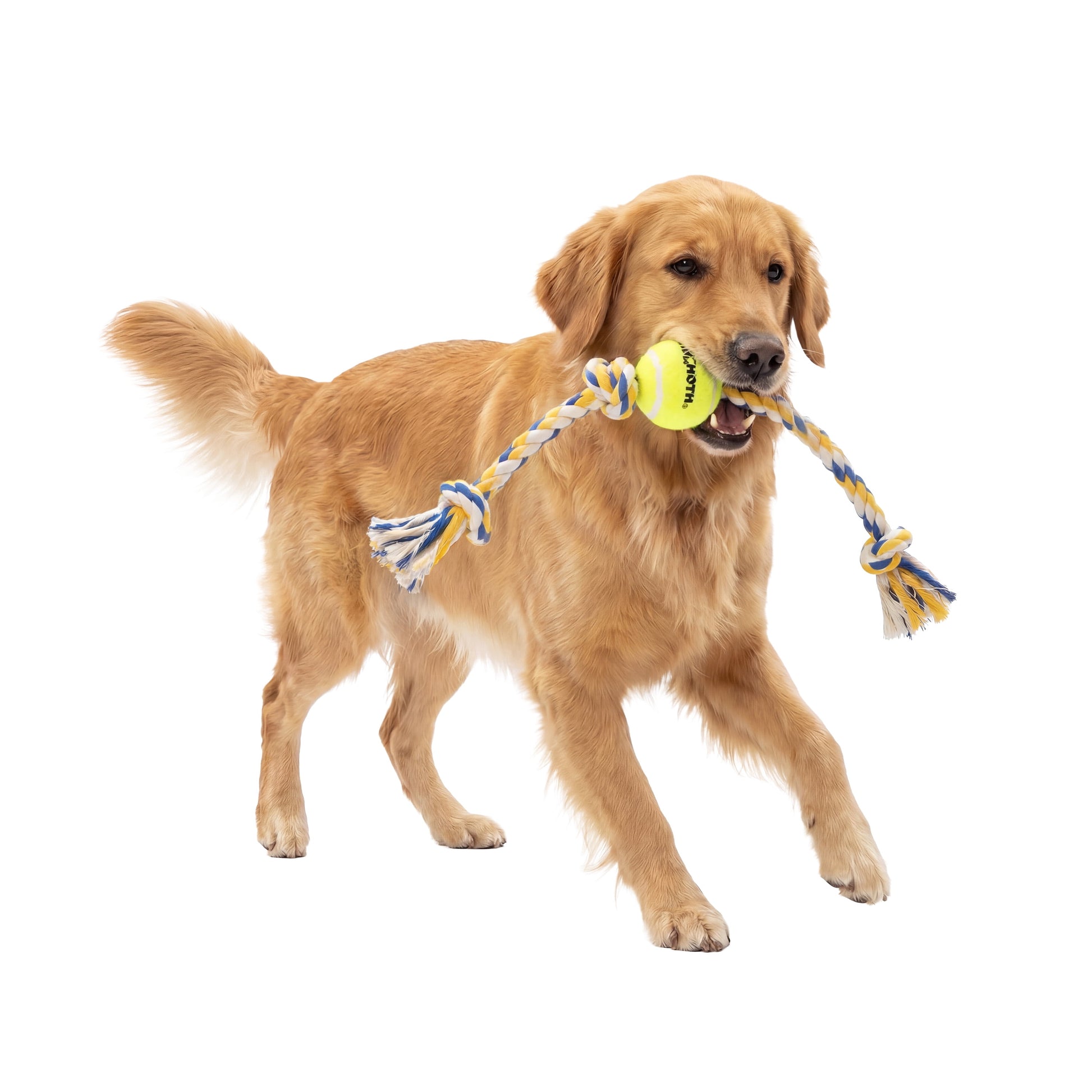 Flossy Chews Medium 3-Knot Rope Tug Dog Toy with Tennis Ball, 20 In
