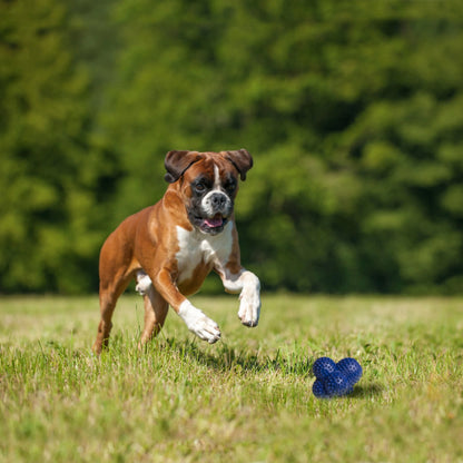 Power Play Interactive Large Dog Ball Toy