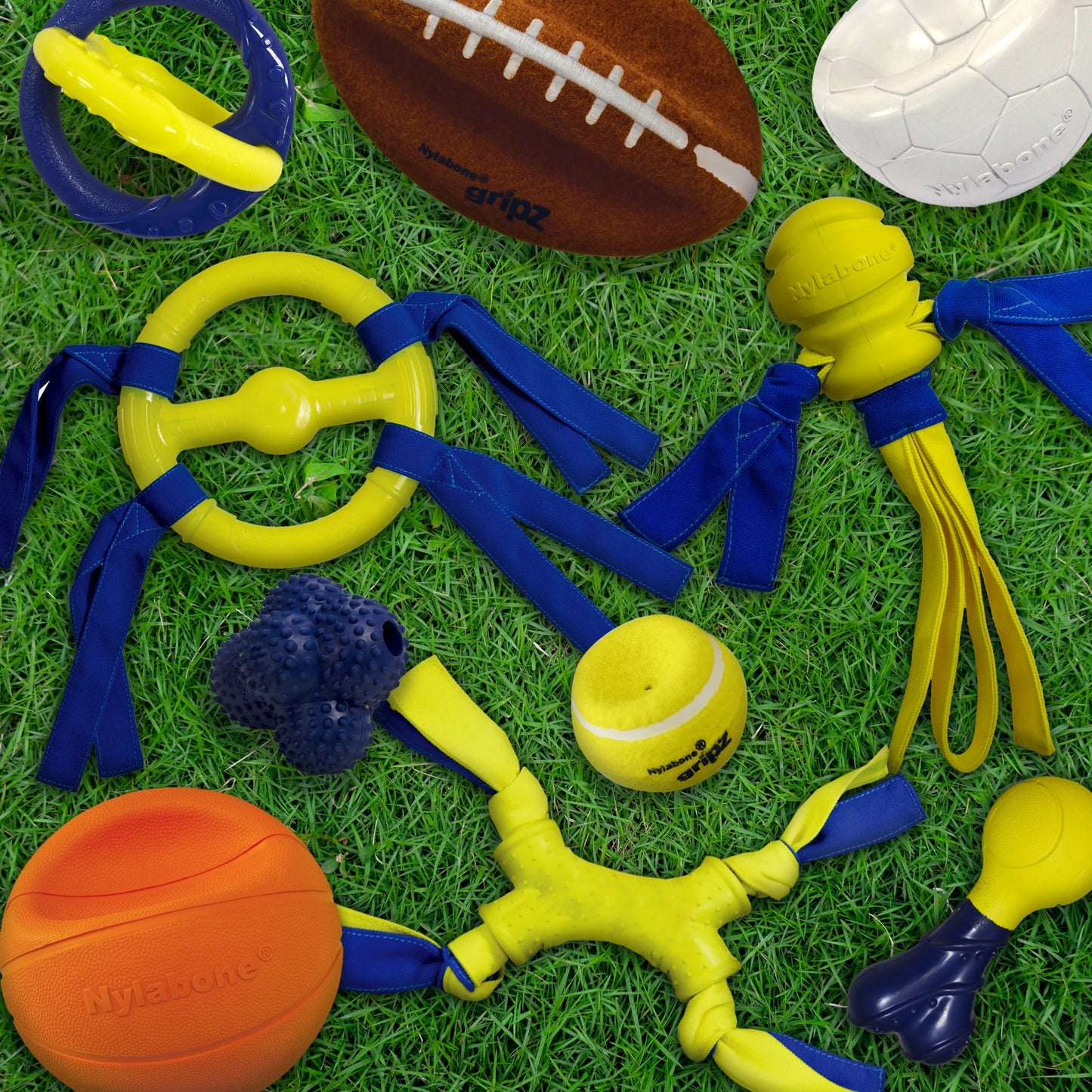Power Play Interactive Large Dog Ball Toy