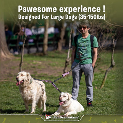 Premium Hands-Free Dual Dog Leash for Large Breeds - Innovative Waist Leash for Tangle-Free Walking of Two Dogs (Dark Grey & Pink)