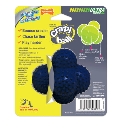 Power Play Interactive Large Dog Ball Toy