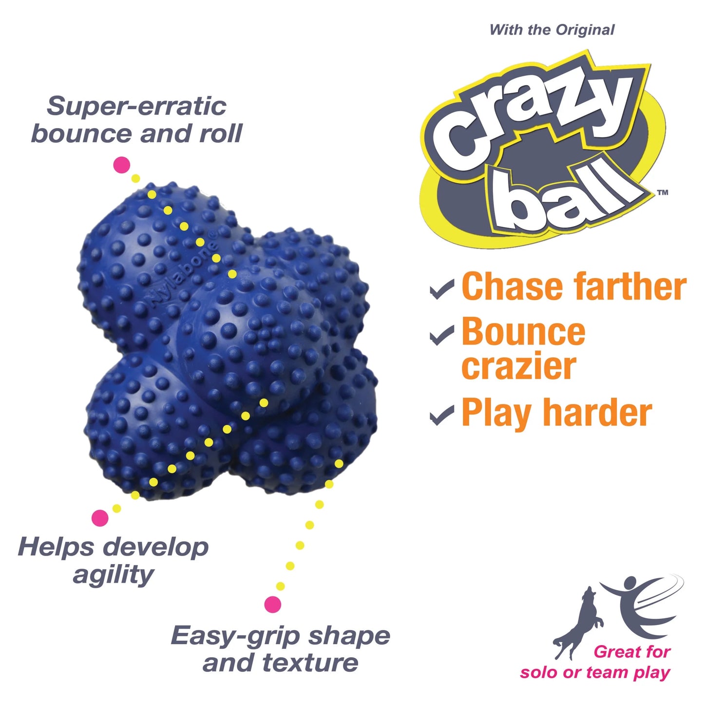 Power Play Interactive Large Dog Ball Toy