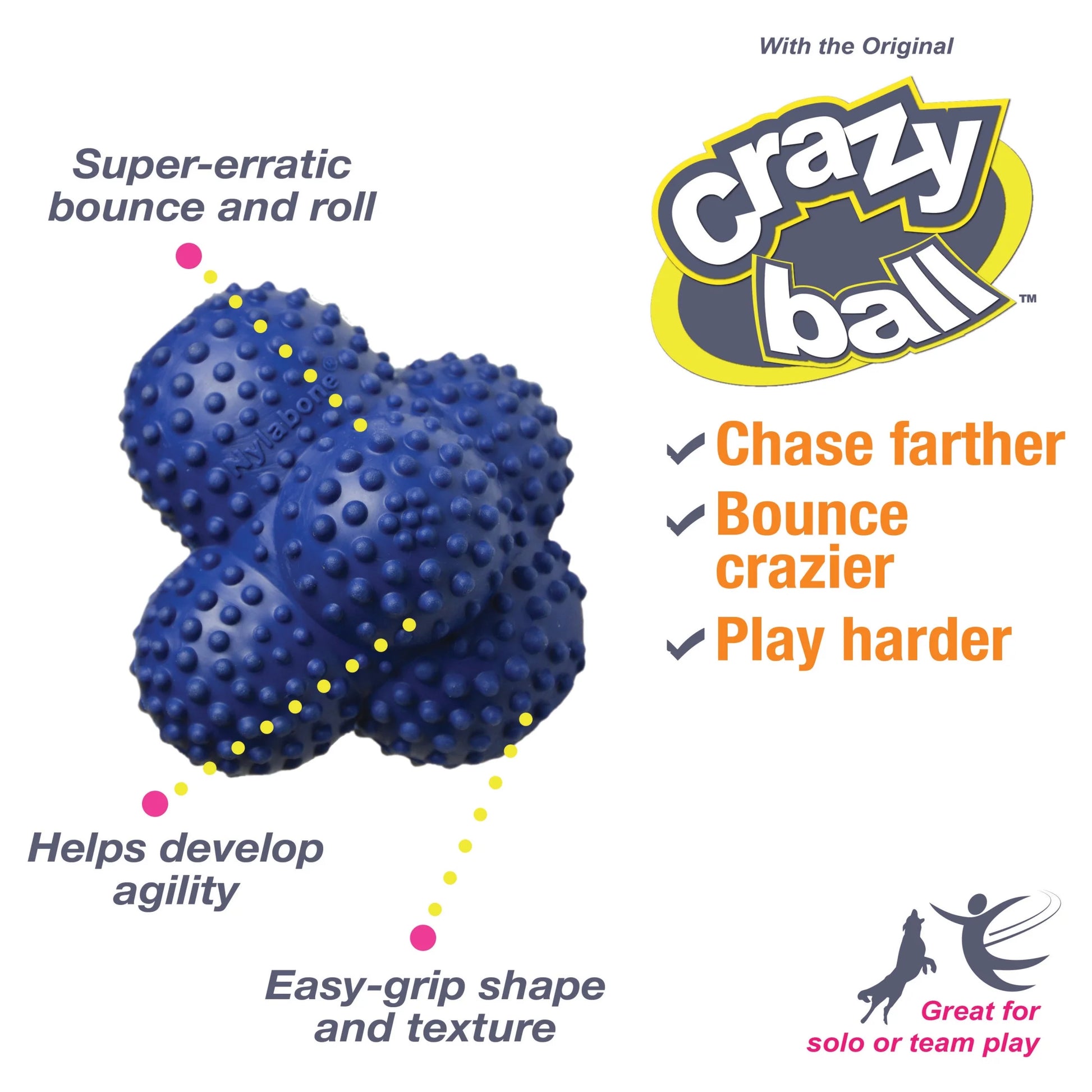 Power Play Interactive Large Dog Ball Toy