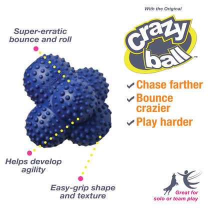 Power Play Interactive Large Dog Ball Toy