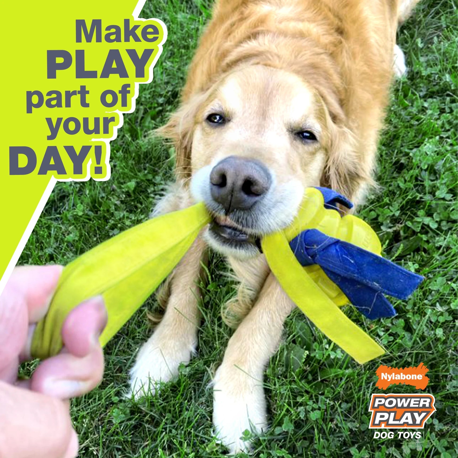Power Play Interactive Large Dog Ball Toy