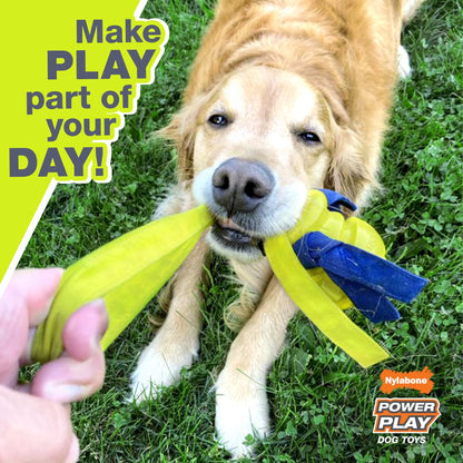 Power Play Interactive Large Dog Ball Toy