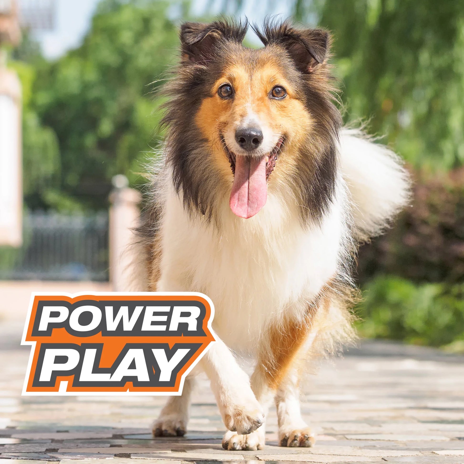 Power Play Interactive Large Dog Ball Toy