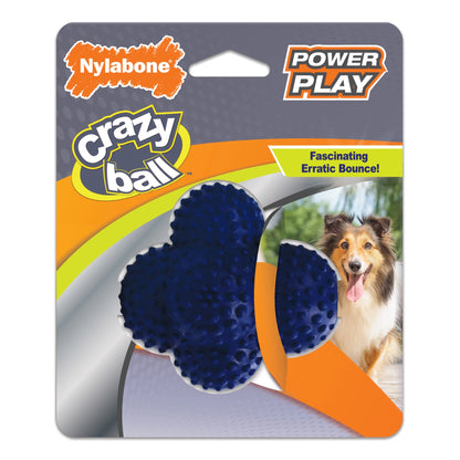 Power Play Interactive Large Dog Ball Toy